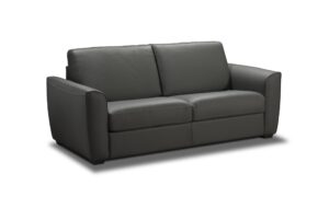 Jasper Premium Sofa Bed