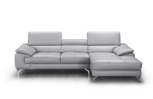 Liam Premium Leather Sectional
