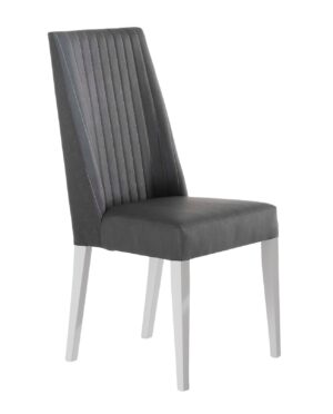 Luxuria Modern Dining Chair, Set of 2