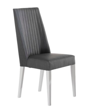 Luxuria Modern Dining Chair, Set of 2