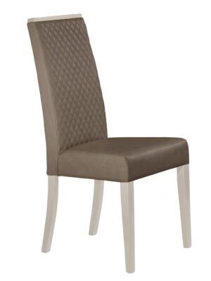 Sonia Modern Dining Chair, Set of 2