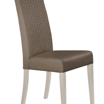 Sonia Modern Dining Chair, Set of 2