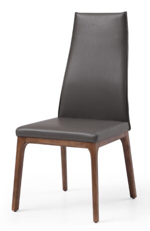 Windsor High Back Modern Dining Chair, Set of 2