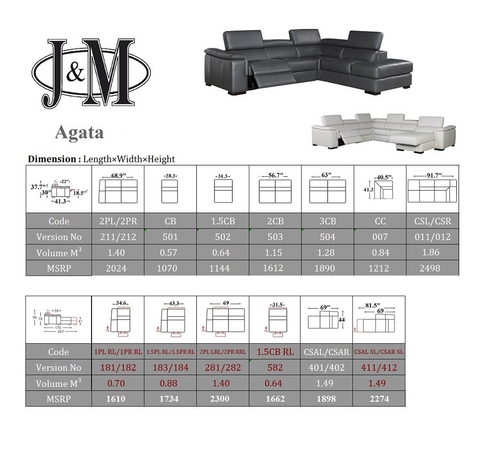 Agata Premium Leather Sectional - Image 4