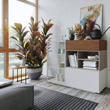 Composition CK28 Buffet